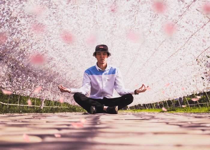 A Természetben Való Meditáció És Az Álmok